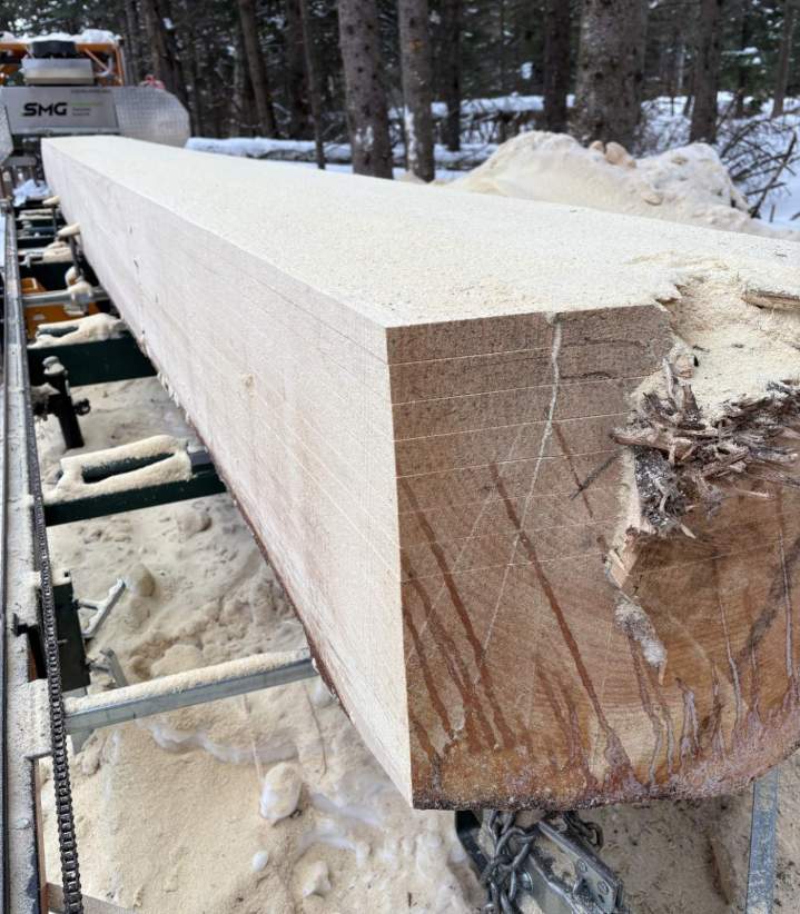 Travaux de scierie en forêt enneigée Bellechasse Regional County Municipality